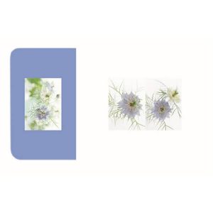 Набір серветок сервірувальних Maestro - 100 х 100 мм (4 шт.), 282 х 435 мм (4 шт.) MR-1950 (MR-1950)