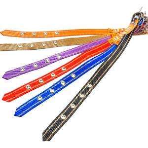 Нашийник капроновий Alan - 20 x 380мм одинарний (А-ОКО20380)