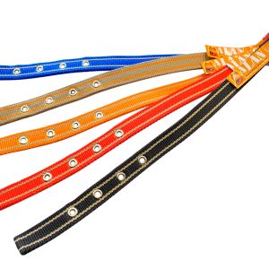 Нашийник капроновий Alan - 20 x 380мм подвійний (А-ОКД20380)